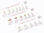GVS Fly Tying Guides