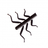 Nymph Stonefly Legs