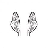SCSFW3