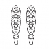 Stonefly Wings