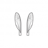 Wings Terrestrial Midges