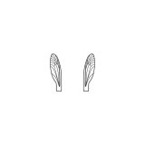 Ailes réalistes des Terrestres et Moucherons <br /> Neutre TMW-3-N