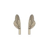 Ailes réalistes des Caddisfly et Stonefly Epuisé  <br /> Marron SPW-4-BR
