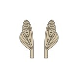 Ailes réalistes des Caddisfly et Stonefly Epuisé  <br /> Marron SPW-3-BR