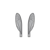 Ailes réalistes des Terrestres et Moucherons <br /> Gris TMW-1-G