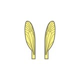 Ailes réalistes des Terrestres et Moucherons <br /> JauneTMW-1-Y