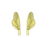 Ali realistiche per Caddisfly e Stonefly Spent <br /> Giallo SPW-3-Y