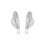 Ali realistiche per Caddisfly e Stonefly Spent <br /> Neutro SPW-3-N