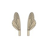 Ali realistiche per Caddisfly e Stonefly Spent <br /> Marrone SPW-3-BR