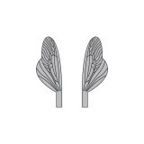 Ailes réalistes des Caddisfly et Stonefly Epuisé  <br /> Gris  SPW-3-G