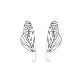 Ailes réalistes des Caddisfly et Stonefly Epuisé  <br /> Neutre SPW-3-N