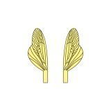 Aripi realiste pentru Caddisfly si Stonefly Epuizata <br /> Galben SPW-3-Y