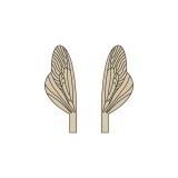 Aripi realiste pentru Caddisfly si Stonefly Epuizata <br /> Maro SPW-3-BR
