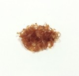 Corpuri sintetici extinsi de Insecte <br /> Lata 4 mm BBNL-CI