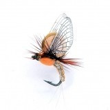 Mayfly Emergente