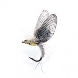 Mayfly Emergente