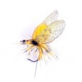 Mayfly Emergente