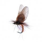 Mayfly Emergente