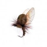 Mayfly Emerger