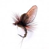 Mayfly Emerger