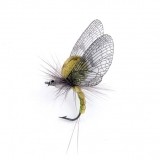 Mayfly Emerger