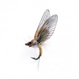 Mayfly Emerger