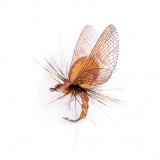 Mayfly Emerger