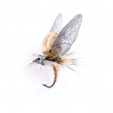 Mayfly Emerger