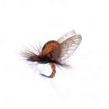 Mayfly Emerger 