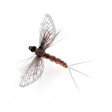 Mayfly Spent