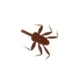 Picioare Realiste pentru Nimfe Mayfly <br /> NML-3-BR Maro