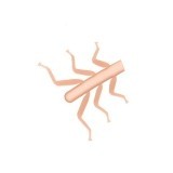 Pieds Réalistes pour Nymphes Stonefly <br /> NSL-2-BR Marron