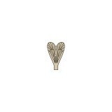 Aripi realiste Caddisfly <br /> Maro CW-4-BR