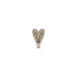 Ali realistiche Caddisfly <br /> Marrone CW-4-BR