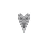 Realistic Caddisfly Wings<br /> Grey CW-2-G