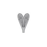 Ailes réalistes Caddisfly <br /> Gris CW-2-G