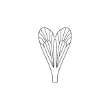 Realistic Caddisfly Wings<br /> Neutral CW-1-N