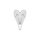 Ali realistiche Caddisfly <br /> Neutro  CW-1-N