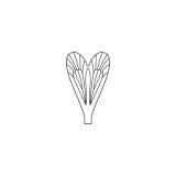 Aripi realiste Caddisfly <br /> Neutru CW-2-N
