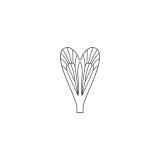 Realistic Caddisfly Wings<br /> Neutral CW-2-N