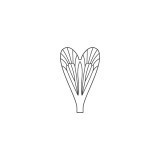 Ali realistiche Caddisfly <br /> Neutro CW-2-N