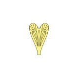 Aripi realiste Caddisfly <br /> Galben CW-2-Y
