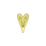 Ailes réalistes Caddisfly <br /> Jaune CW-2-Y