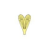 Ali realistiche Caddisfly <br /> Giallo CW-2-Y