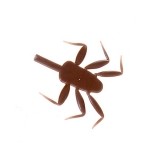 Realistic Legs for Nymph Mayfly <br /> NML-2-BR Brown