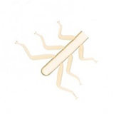 Realistic Legs for Stonefly Nymph <br /> NSL-1-LO Light Olive