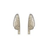 Aripi realiste Mayfly <br /> Maro MW-2-BR 