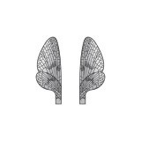 Realistic Mayfly Wings <br />Grey 