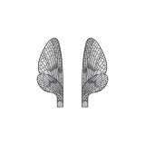 Realistic Mayfly Wings <br />Grey MW-1-G 
