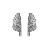 Ailes Réalistes Mayfly <br /> Gris MW-1-G 